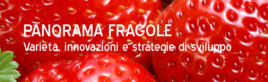 fragola_sito_oi