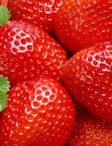 Fragole